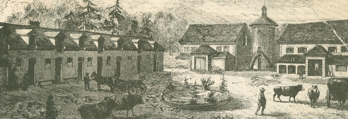 Bergerie Rambouillet de mouton mérinos.