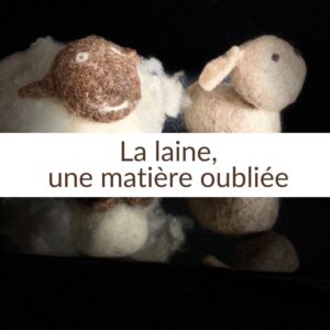 Article sur la laine mérinos d'Arles, une matière oubliée.